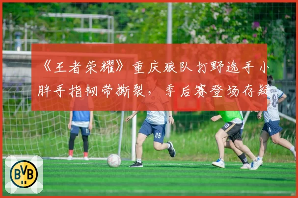《王者荣耀》重庆狼队打野选手小胖手指韧带撕裂，季后赛登场存疑