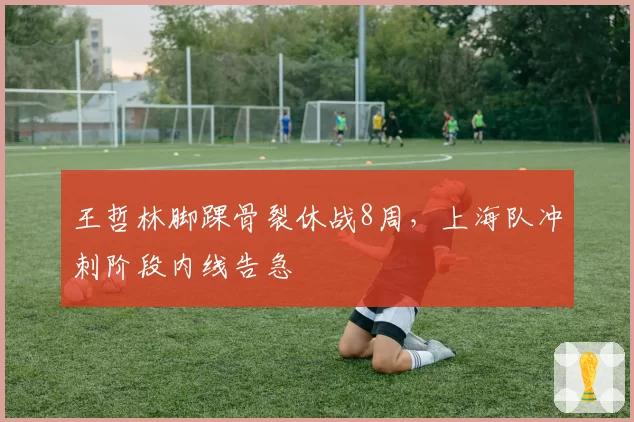 王哲林脚踝骨裂休战8周，上海队冲刺阶段内线告急