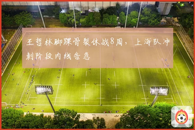 王哲林脚踝骨裂休战8周，上海队冲刺阶段内线告急